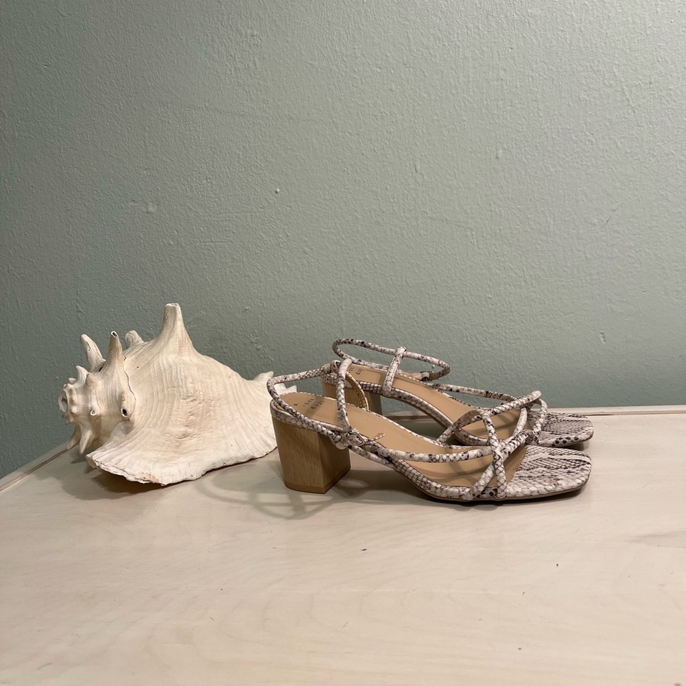 Snake Skin Heels